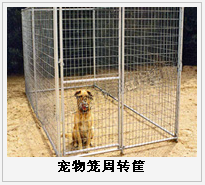 護欄網(wǎng),金剛網(wǎng),聲屏障,石籠網(wǎng),框架護欄網(wǎng),市政護欄網(wǎng)